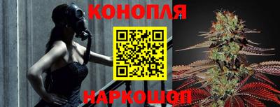 индика Ачхой-Мартан